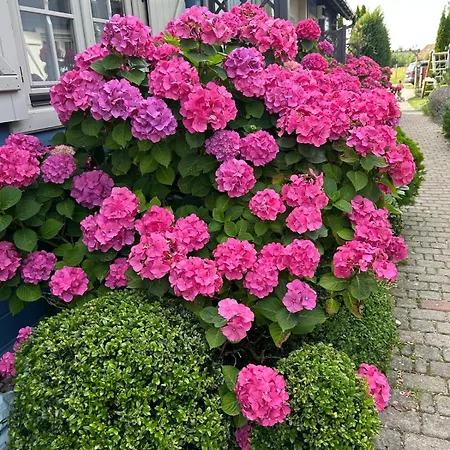 Jaktstuga Letniskowe Albatros Rewal