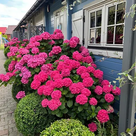 Letniskowe Albatros Rewal