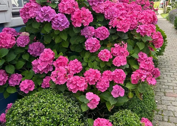 롯지 Letniskowe Albatros 레왈