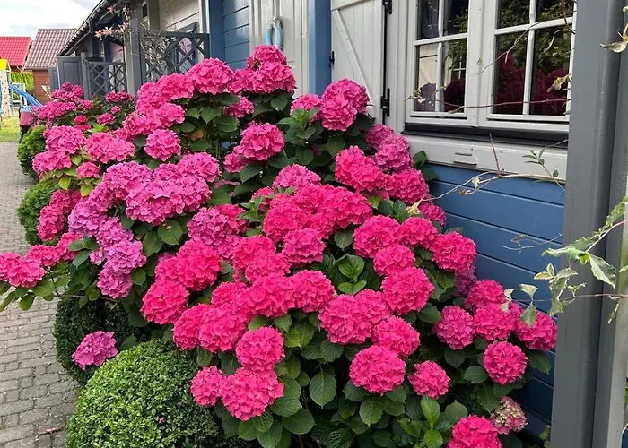 Letniskowe Albatros Rewal